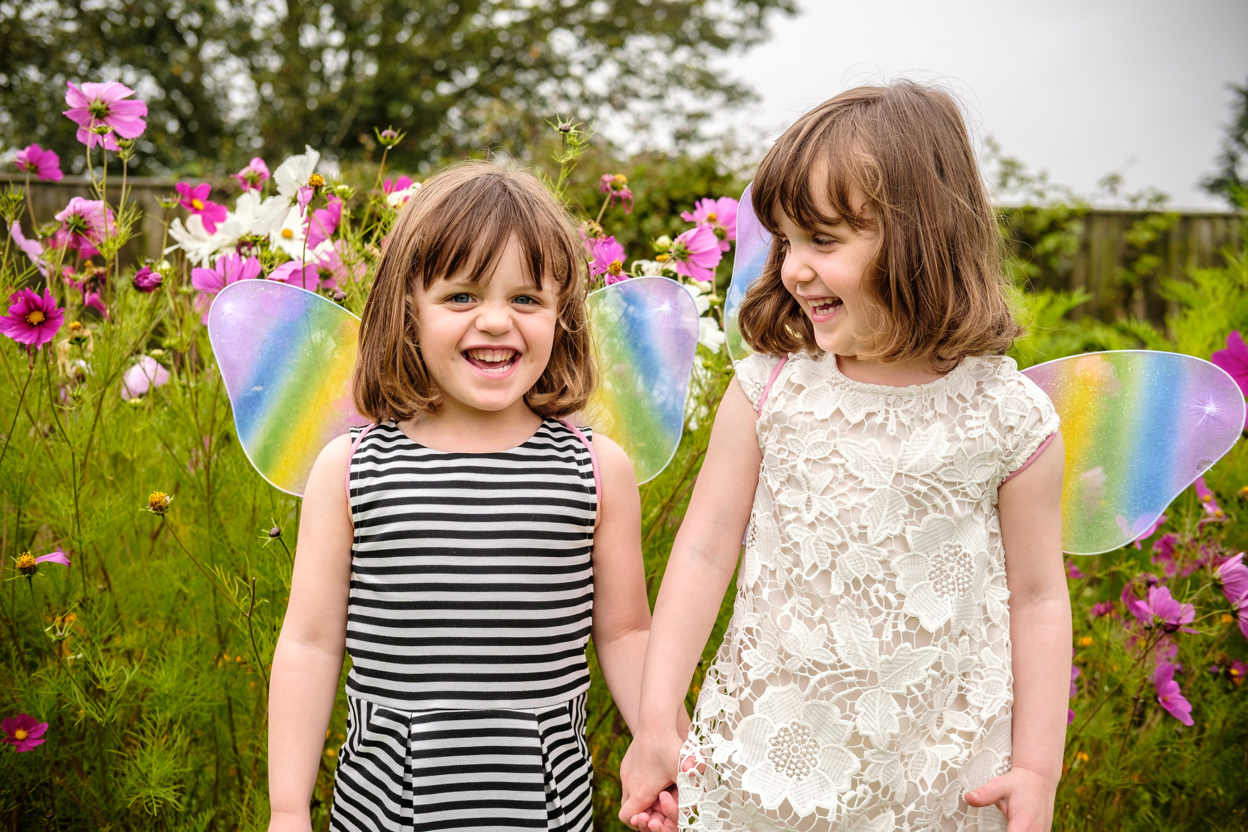 Two young girls wearing rainbow fabric fairy wings hold hands and laugh in front of tall pink and white cosmos flowers